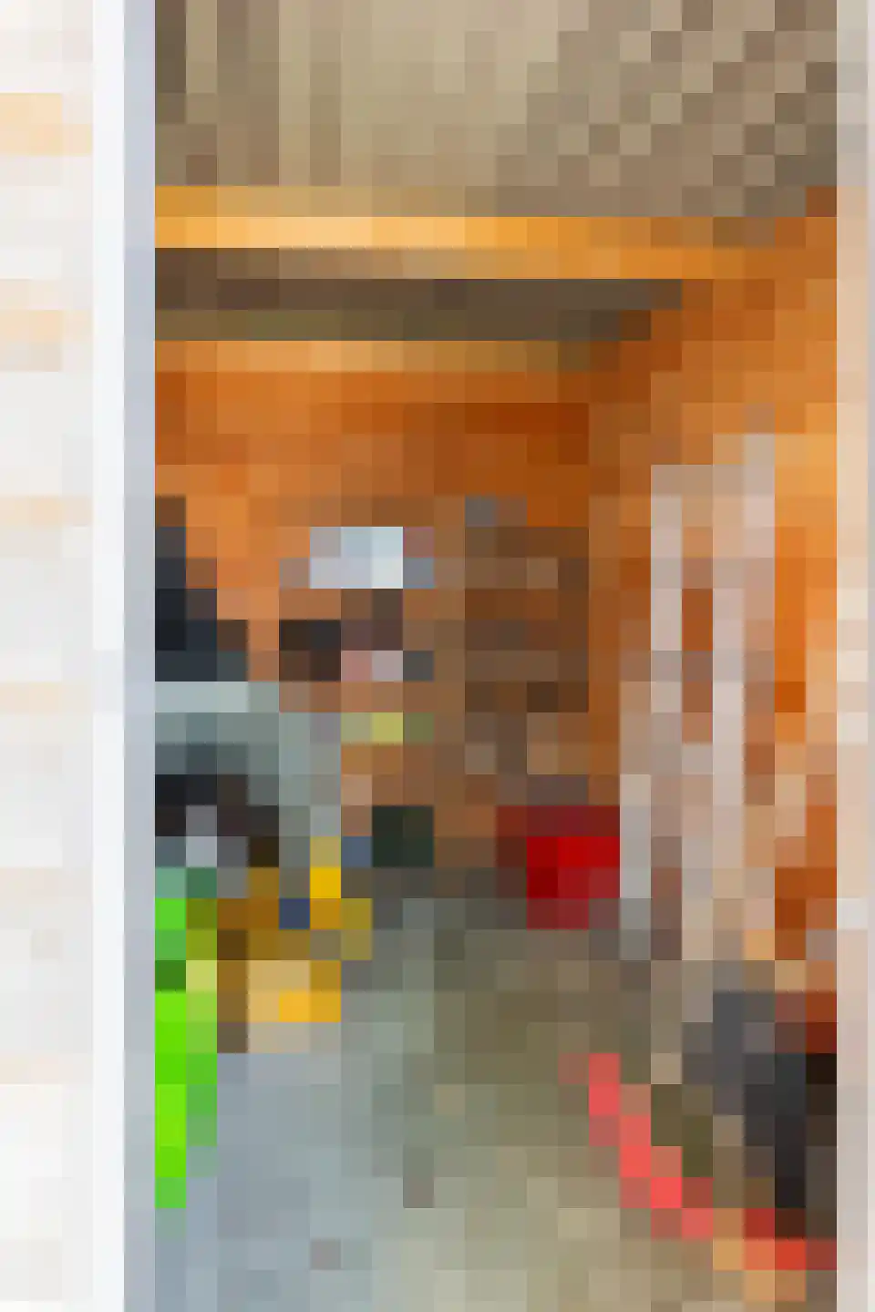 Oppenheimstraat 60 Groningen thumbnail 36