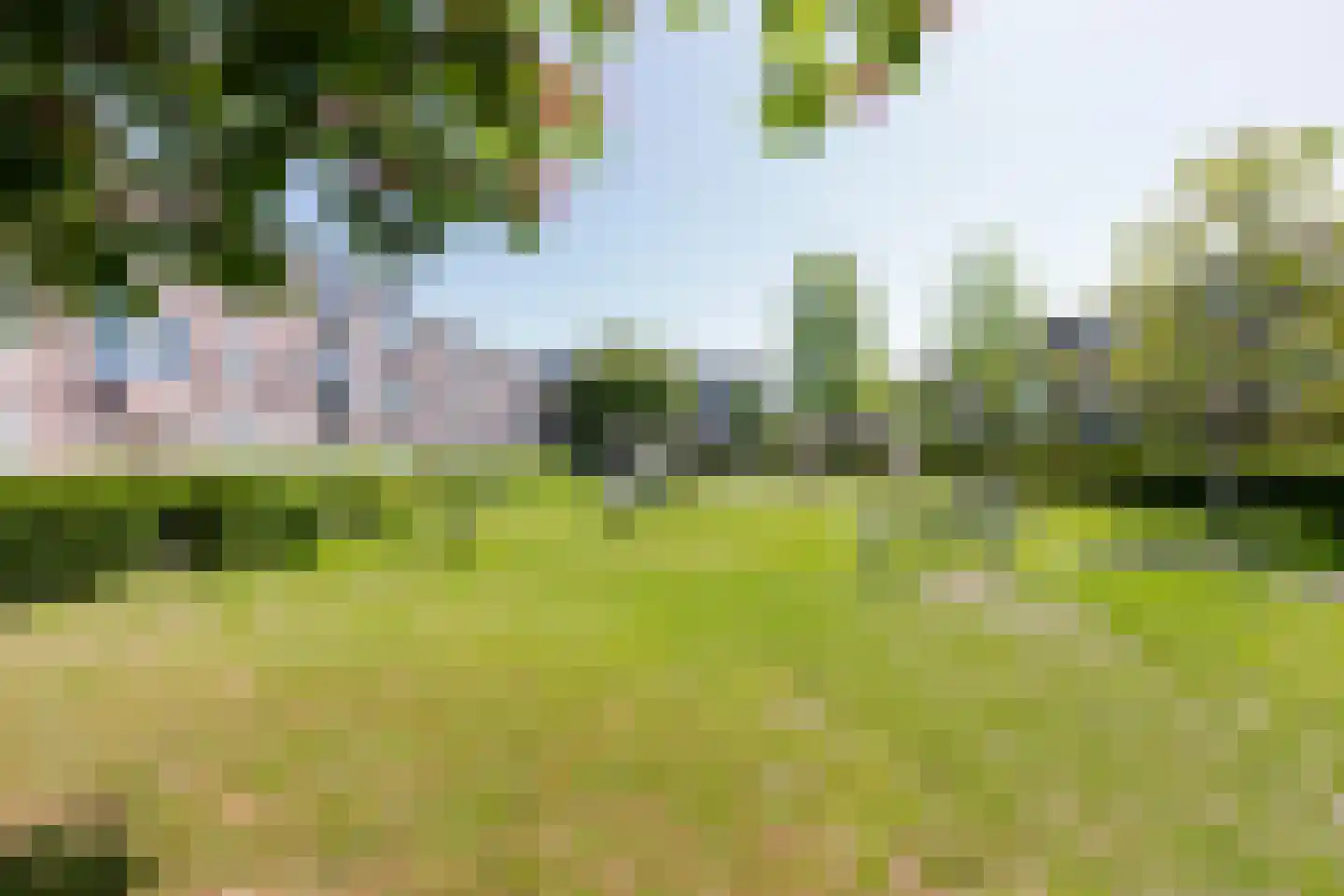 Oppenheimstraat 60 Groningen thumbnail 37