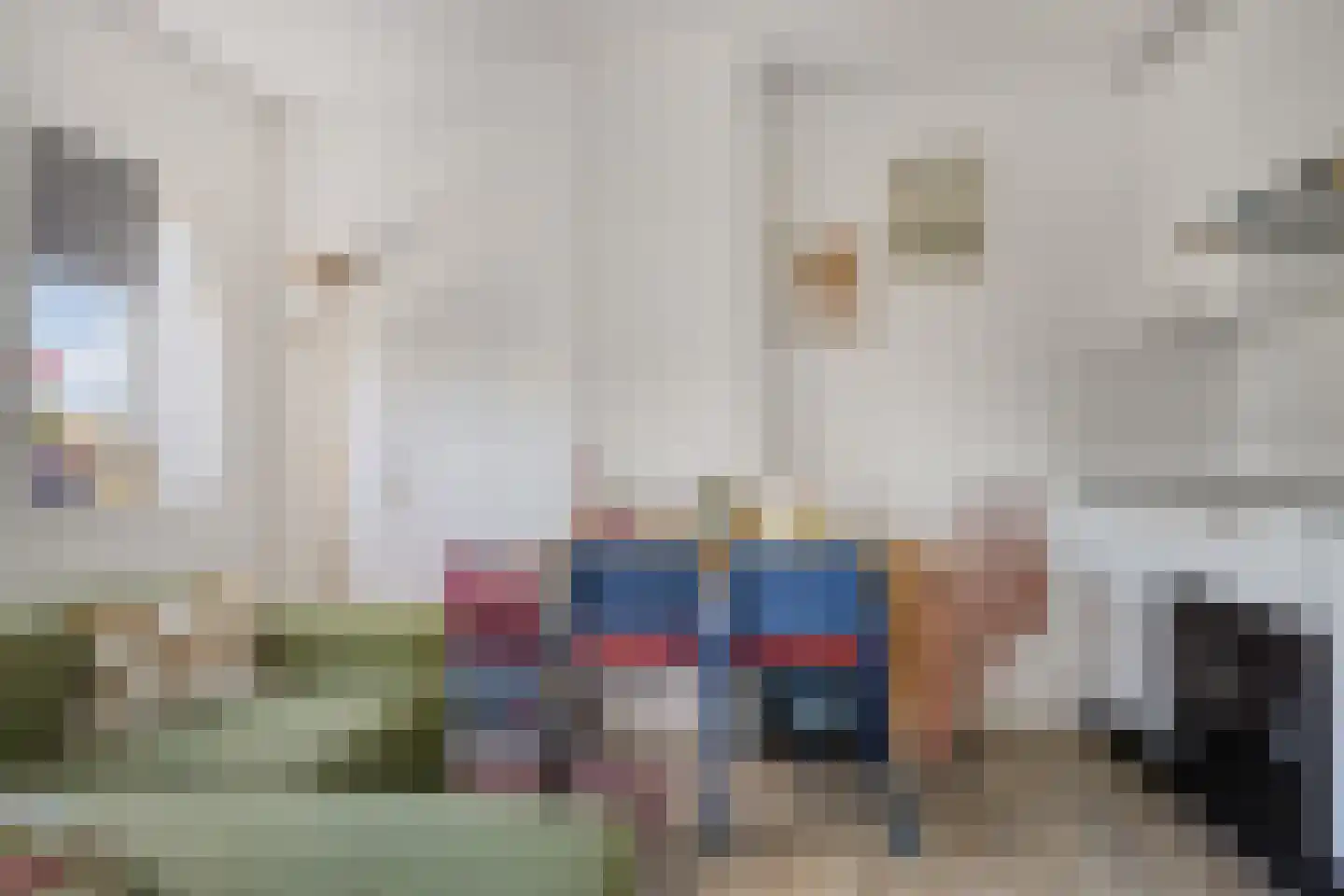 Oppenheimstraat 66 a Groningen thumbnail 32