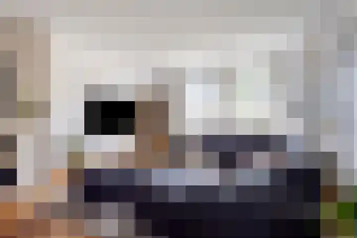 Opper 14 Uden thumbnail 12