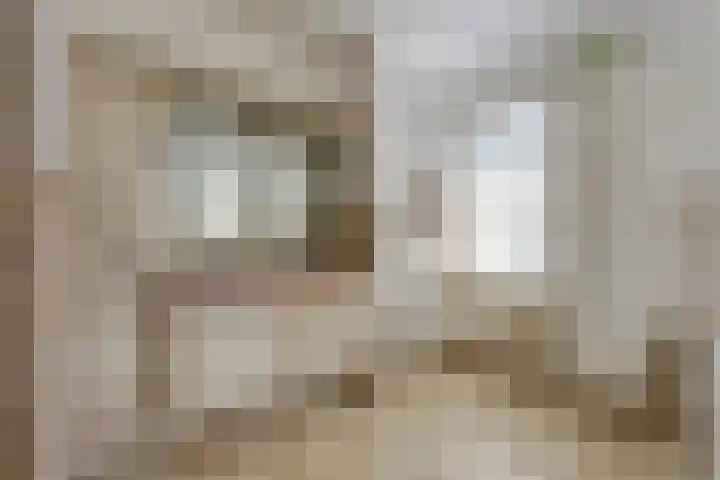Opper 14 Uden thumbnail 26