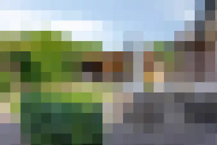 Opper 14 Uden thumbnail 4