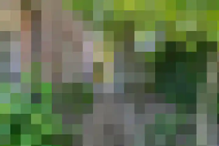 Opper 14 Uden thumbnail 47
