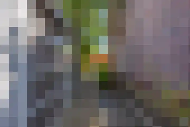 Opper 14 Uden thumbnail 48