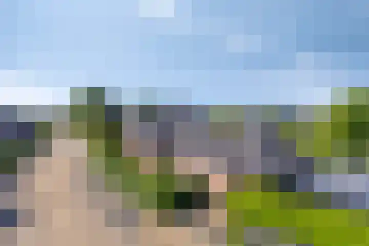 Opper 14 Uden thumbnail 5
