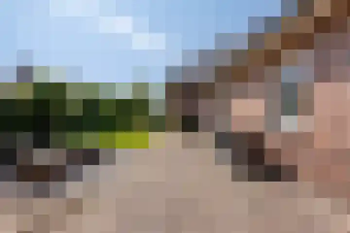 Opper 14 Uden thumbnail 50