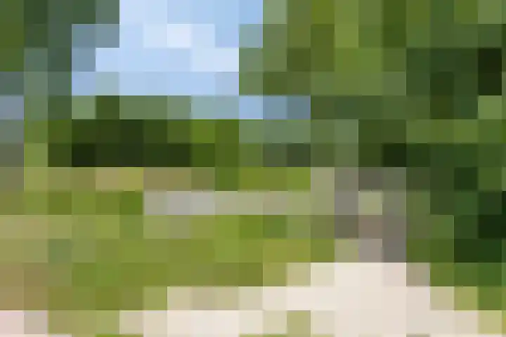 Opper 14 Uden thumbnail 52