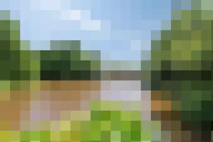 Opper 14 Uden thumbnail 54
