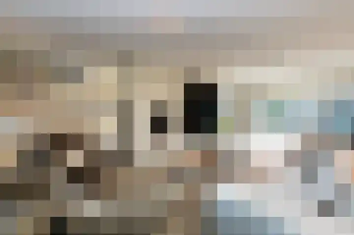 Opper 3 Uden thumbnail 23