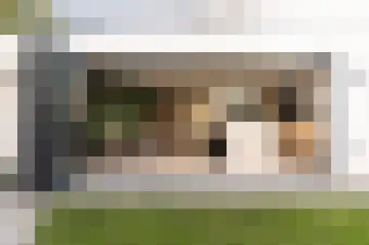 Opper 3 Uden foto 3