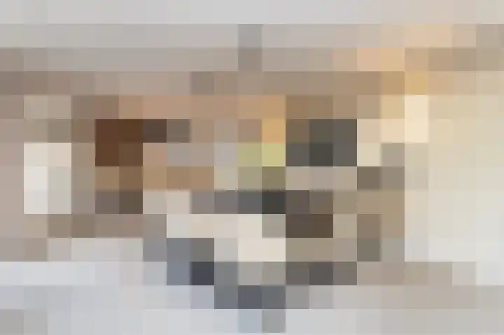 Opper 3 Uden thumbnail 31
