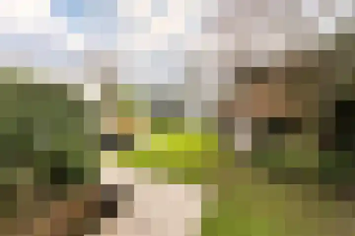 Opper 3 Uden thumbnail 45