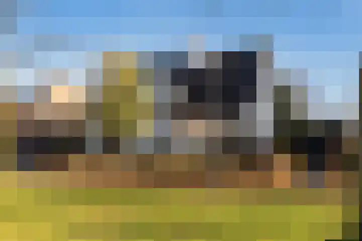 Opper 3 Uden thumbnail 5