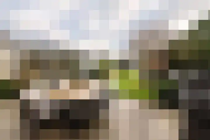 Opper 3 Uden thumbnail 56