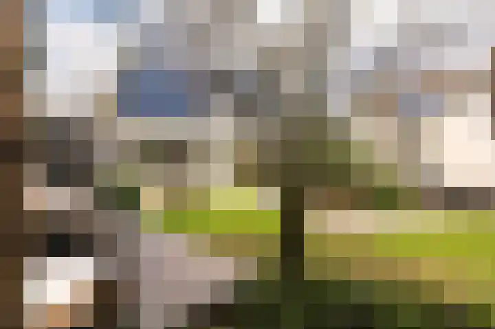 Opper 3 Uden thumbnail 59