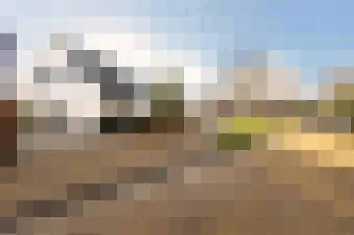 Opper 3 Uden thumbnail 7