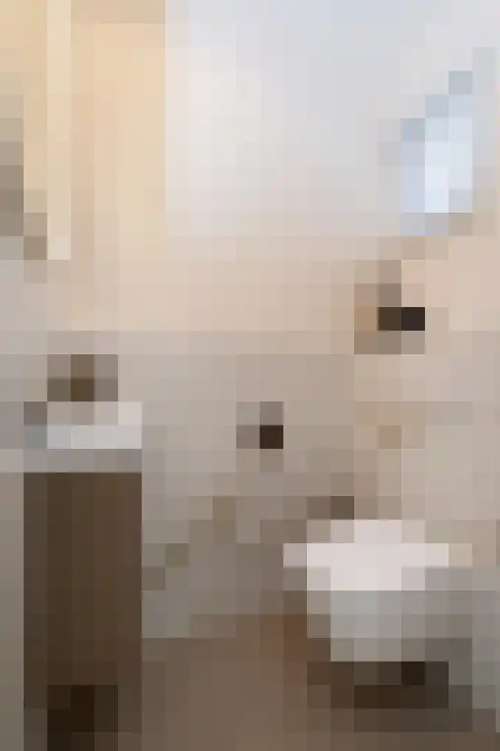 Opper 3 Uden thumbnail 9