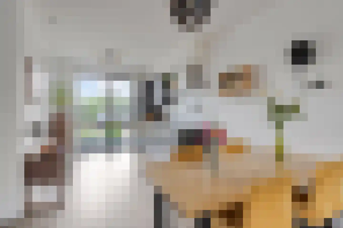 Opper 40 Someren thumbnail 6
