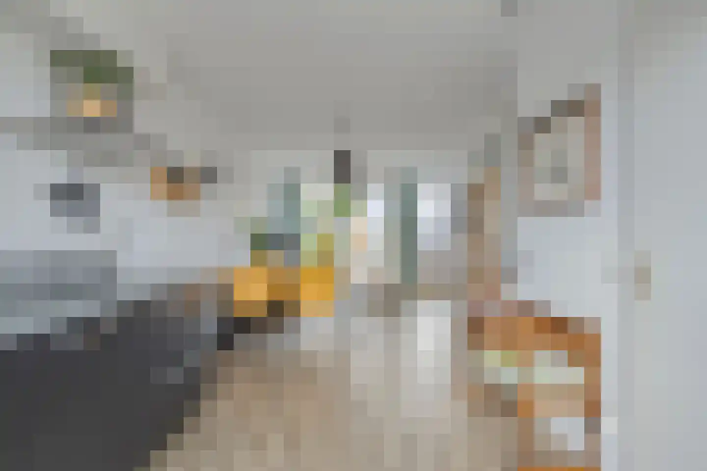 Opper 40 Someren thumbnail 9