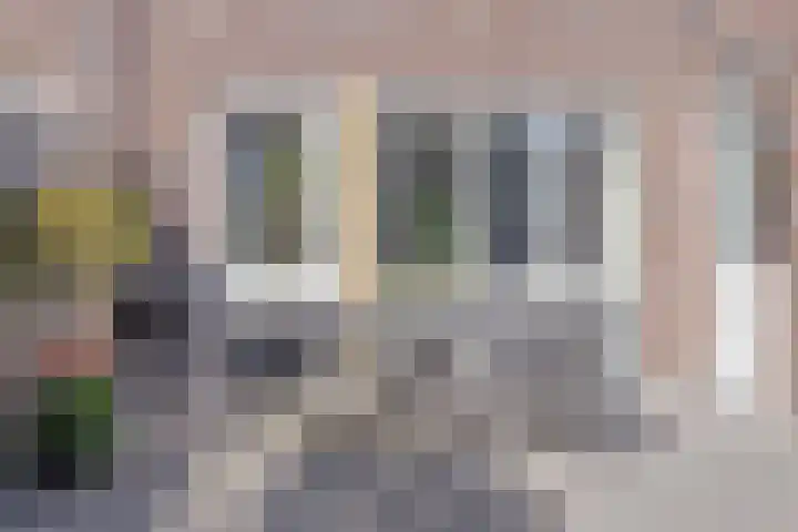 Opper 42 Someren thumbnail 34