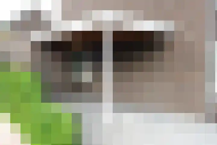 Opper 42 Someren thumbnail 38