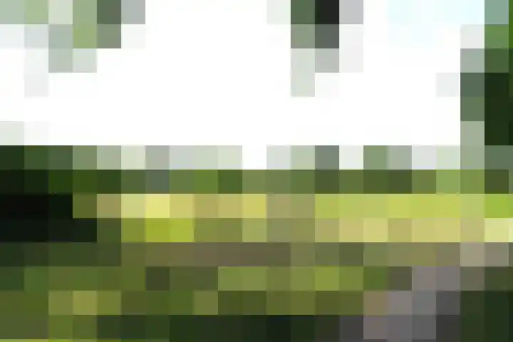 Opper 42 Someren thumbnail 43