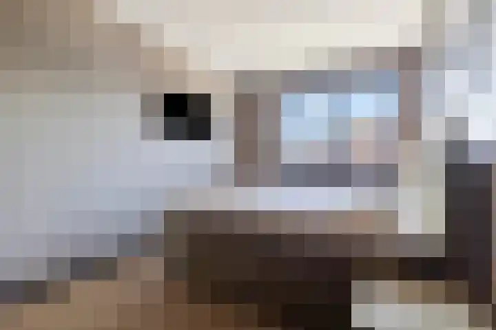 Opper 46 Someren thumbnail 18