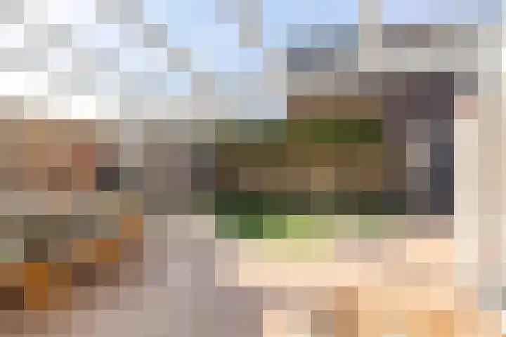Opper 46 Someren thumbnail 35