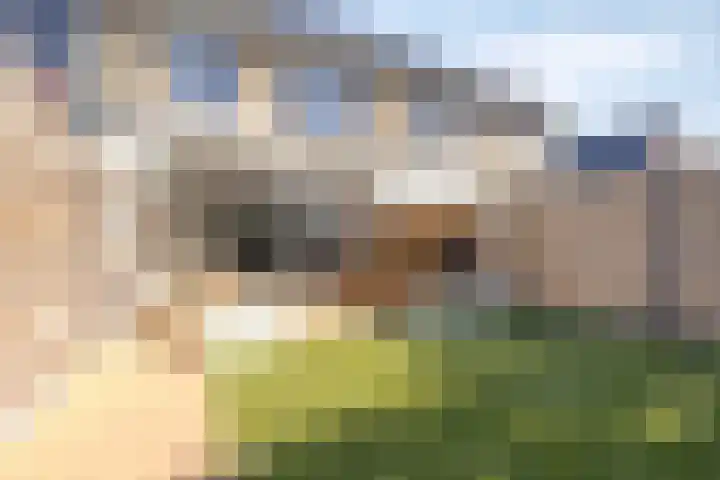 Opper 46 Someren thumbnail 36