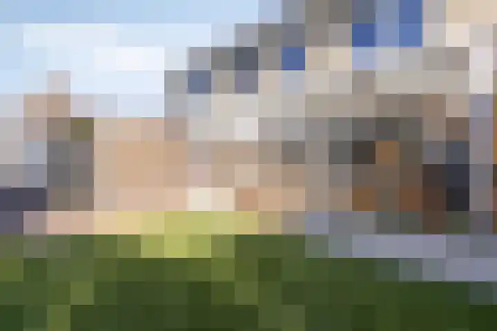 Opper 46 Someren thumbnail 37