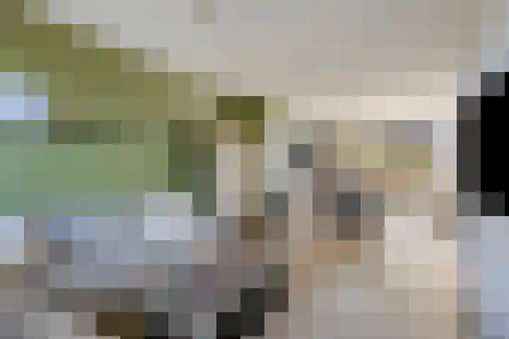 Opper 46 Someren thumbnail 6