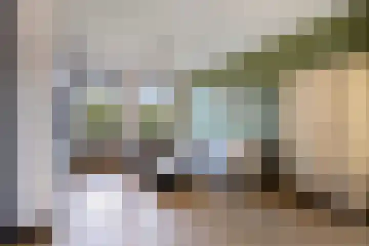 Opper 46 Someren thumbnail 7
