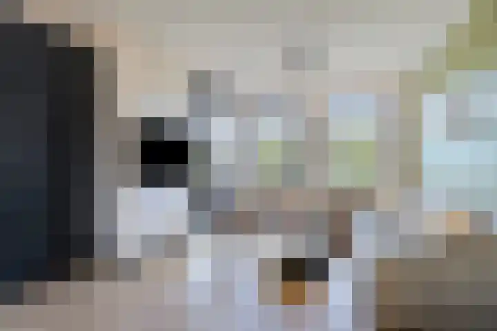 Opper 46 Someren thumbnail 8