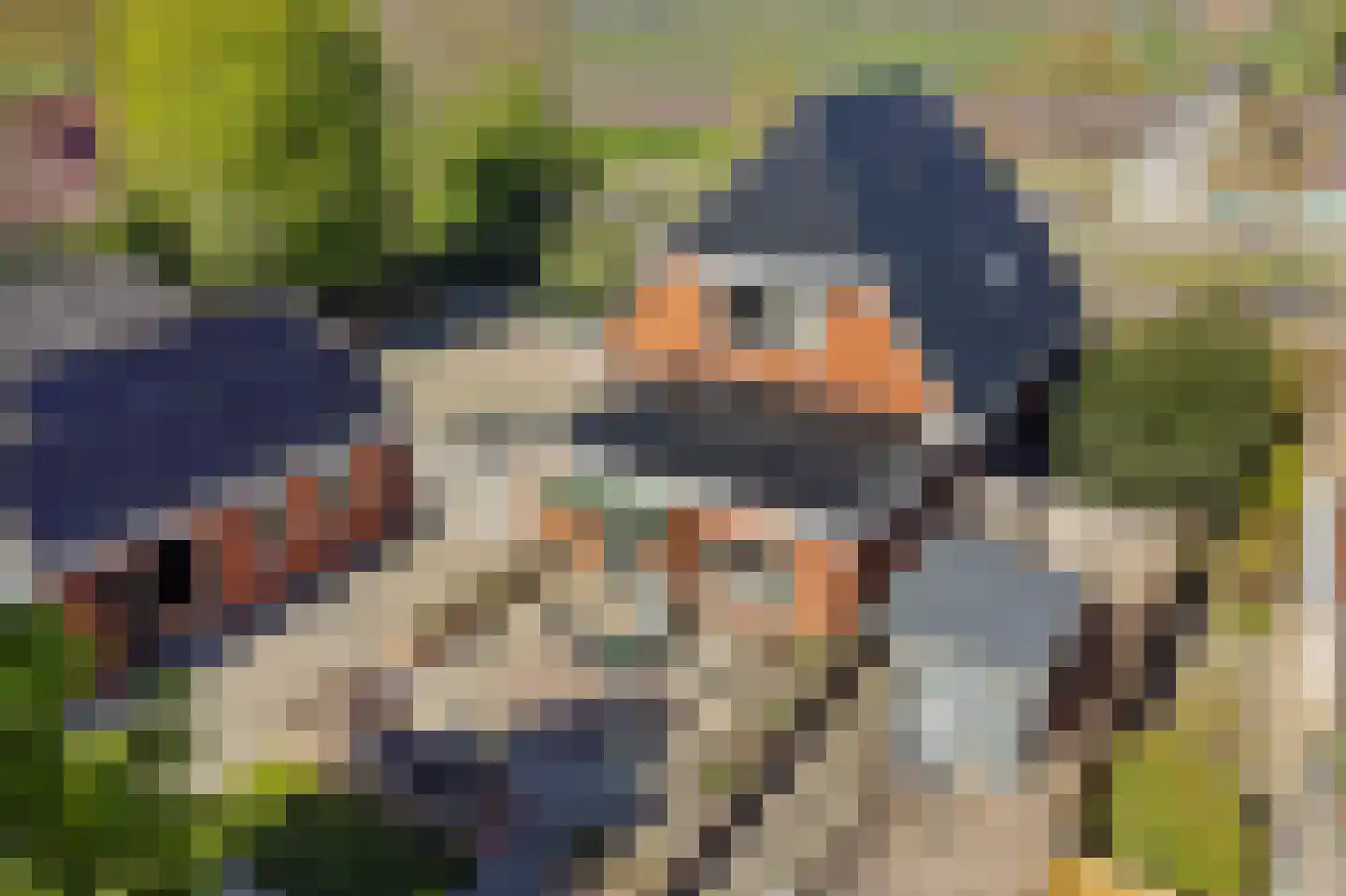 Opper Haudmare 18 Wijnjewoude thumbnail 39