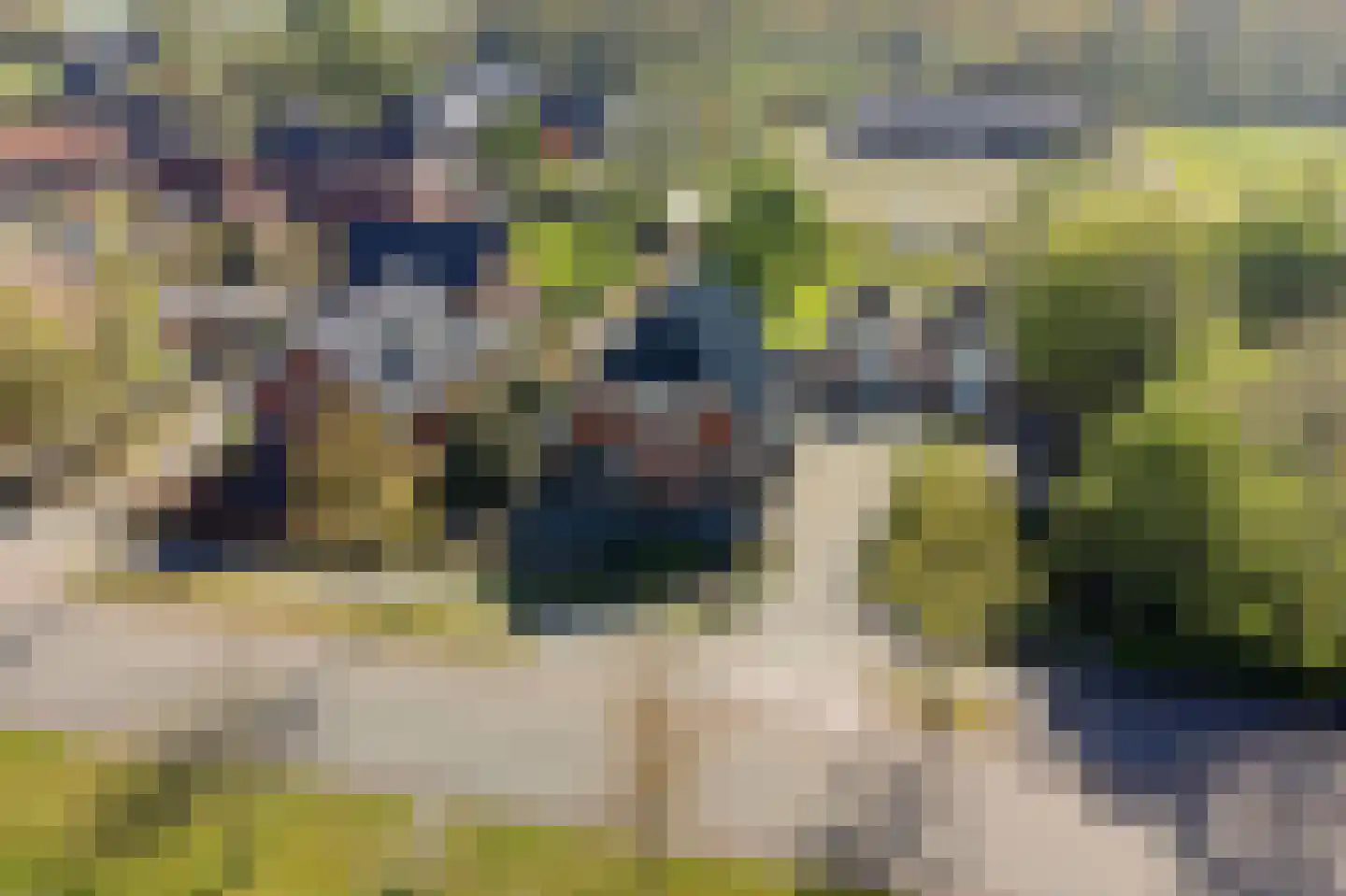 Opper Haudmare 18 Wijnjewoude thumbnail 45