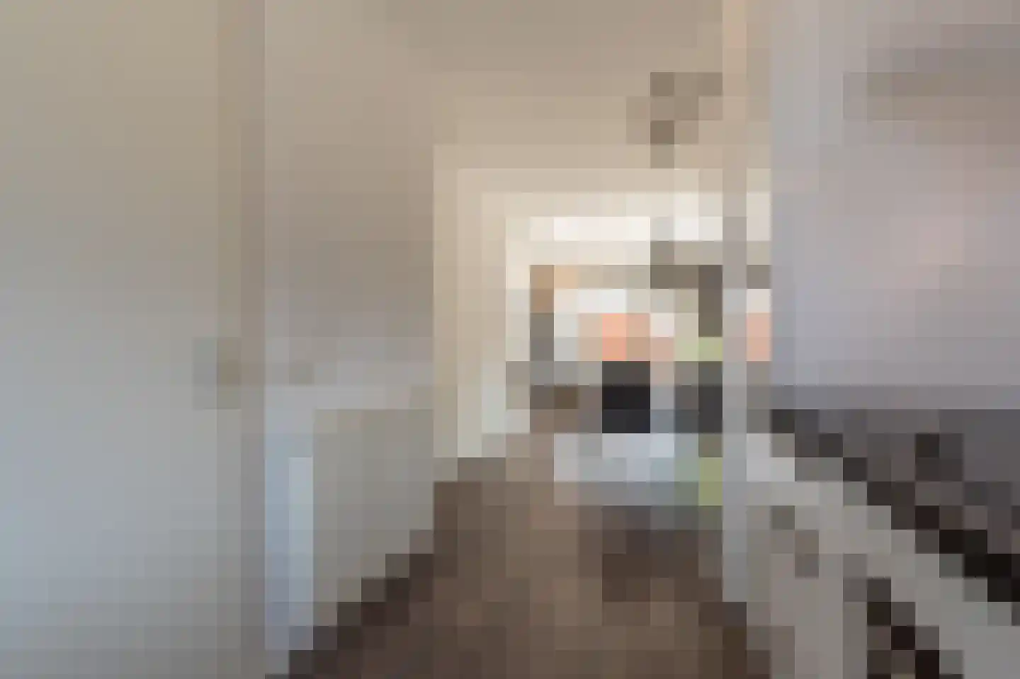 Opper Van Treurenstraat 56 Heinenoord thumbnail 11