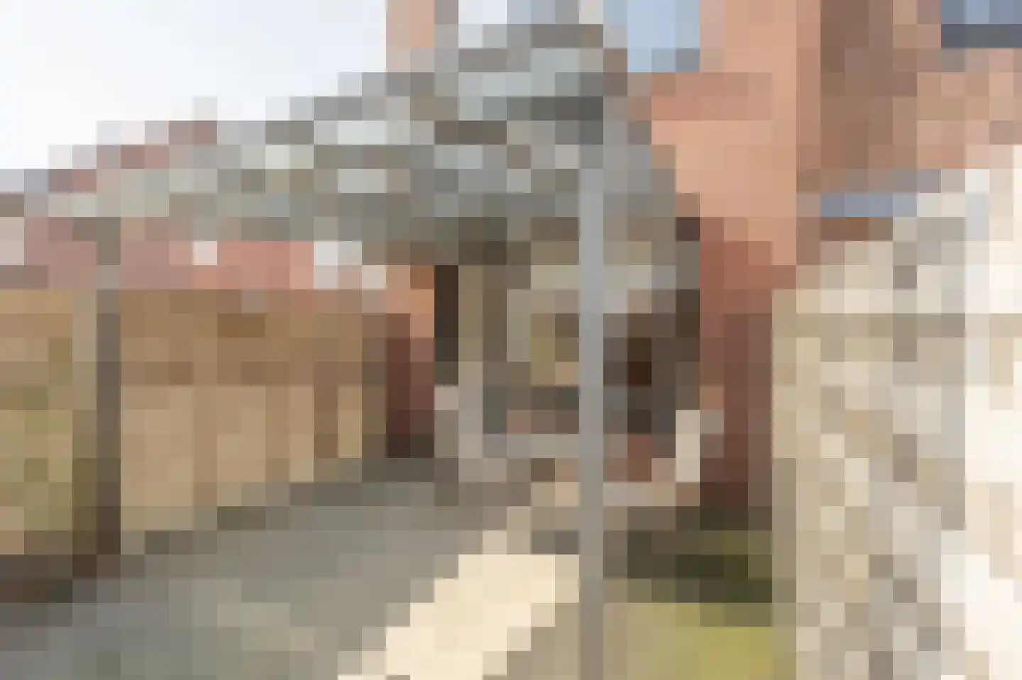 Opper Van Treurenstraat 56 Heinenoord thumbnail 27