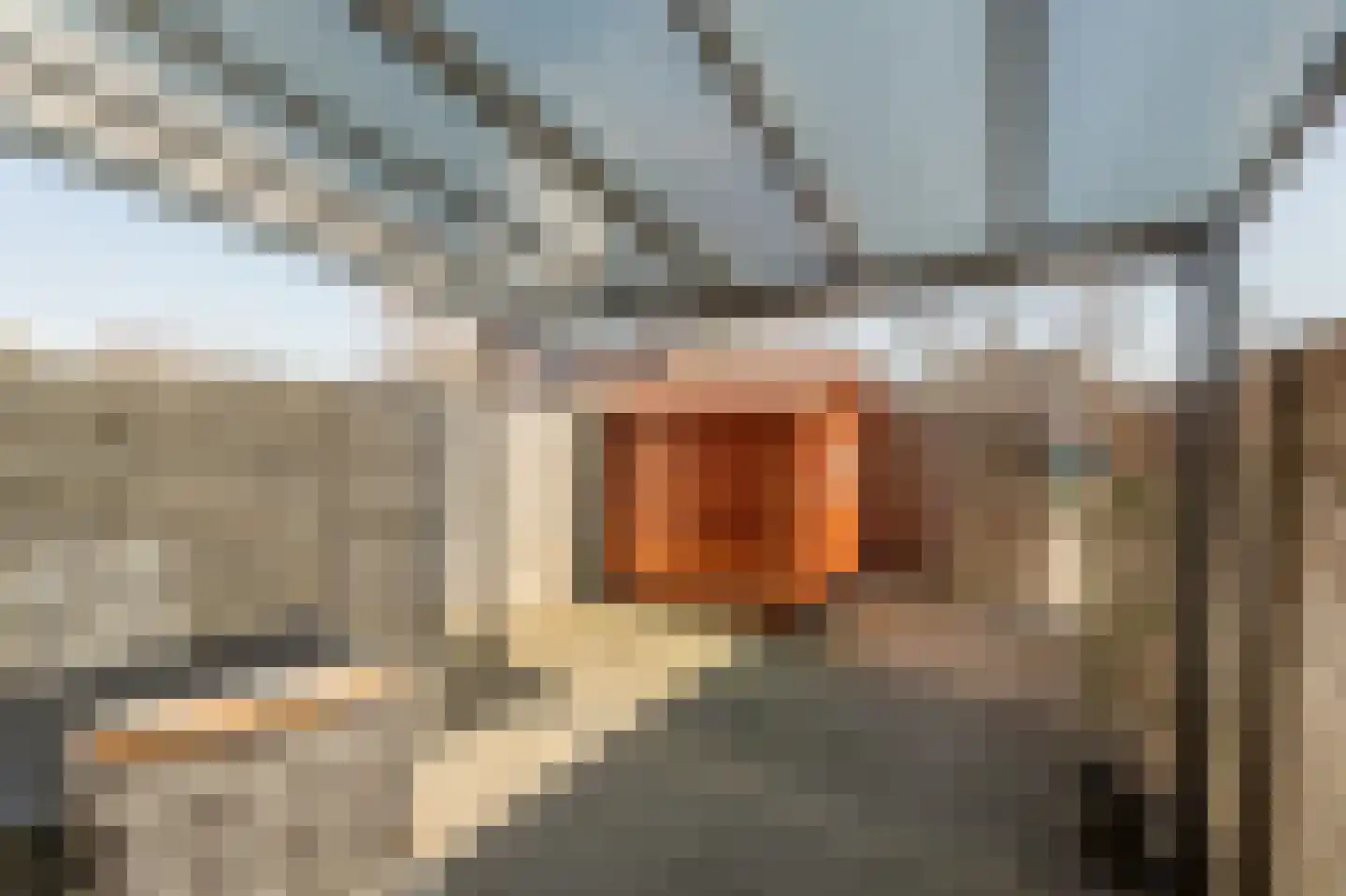 Opper Van Treurenstraat 56 Heinenoord thumbnail 29