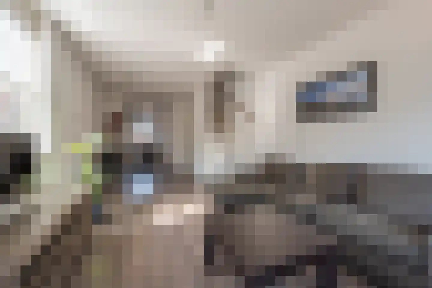 Opper Van Treurenstraat 56 Heinenoord thumbnail 4