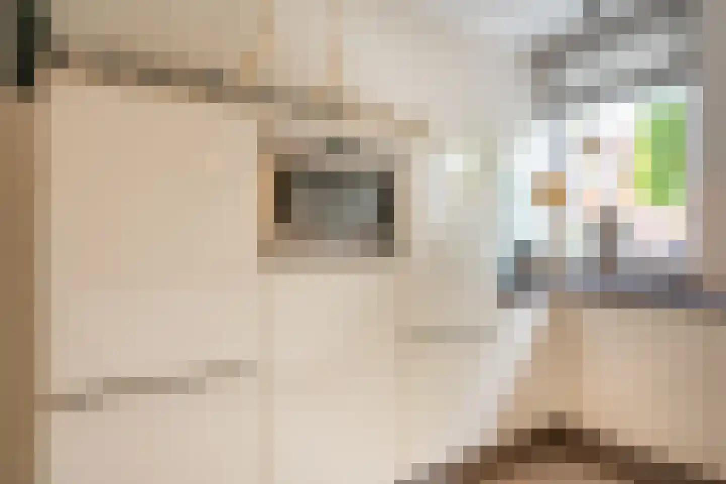 Opper Van Treurenstraat 7 Heinenoord thumbnail 13