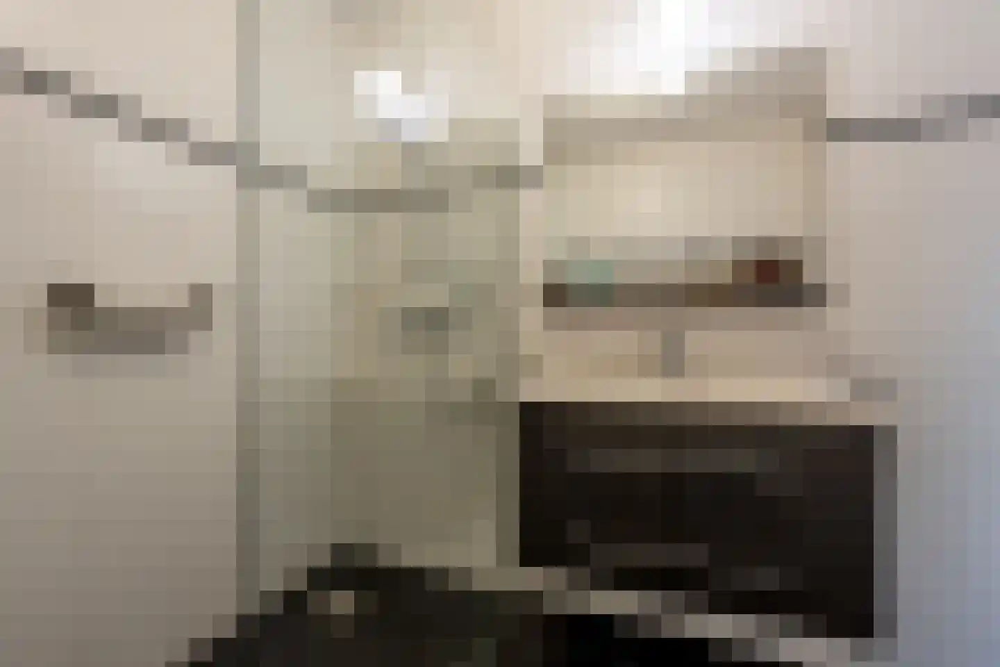 Opper Van Treurenstraat 7 Heinenoord thumbnail 27