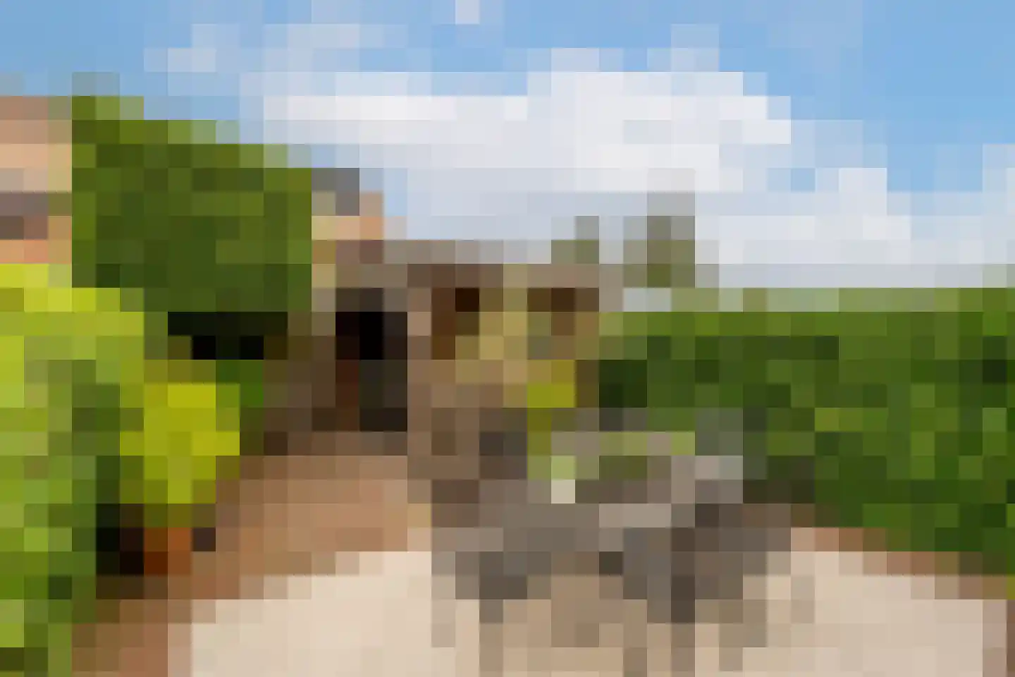 Opper Van Treurenstraat 7 Heinenoord thumbnail 36