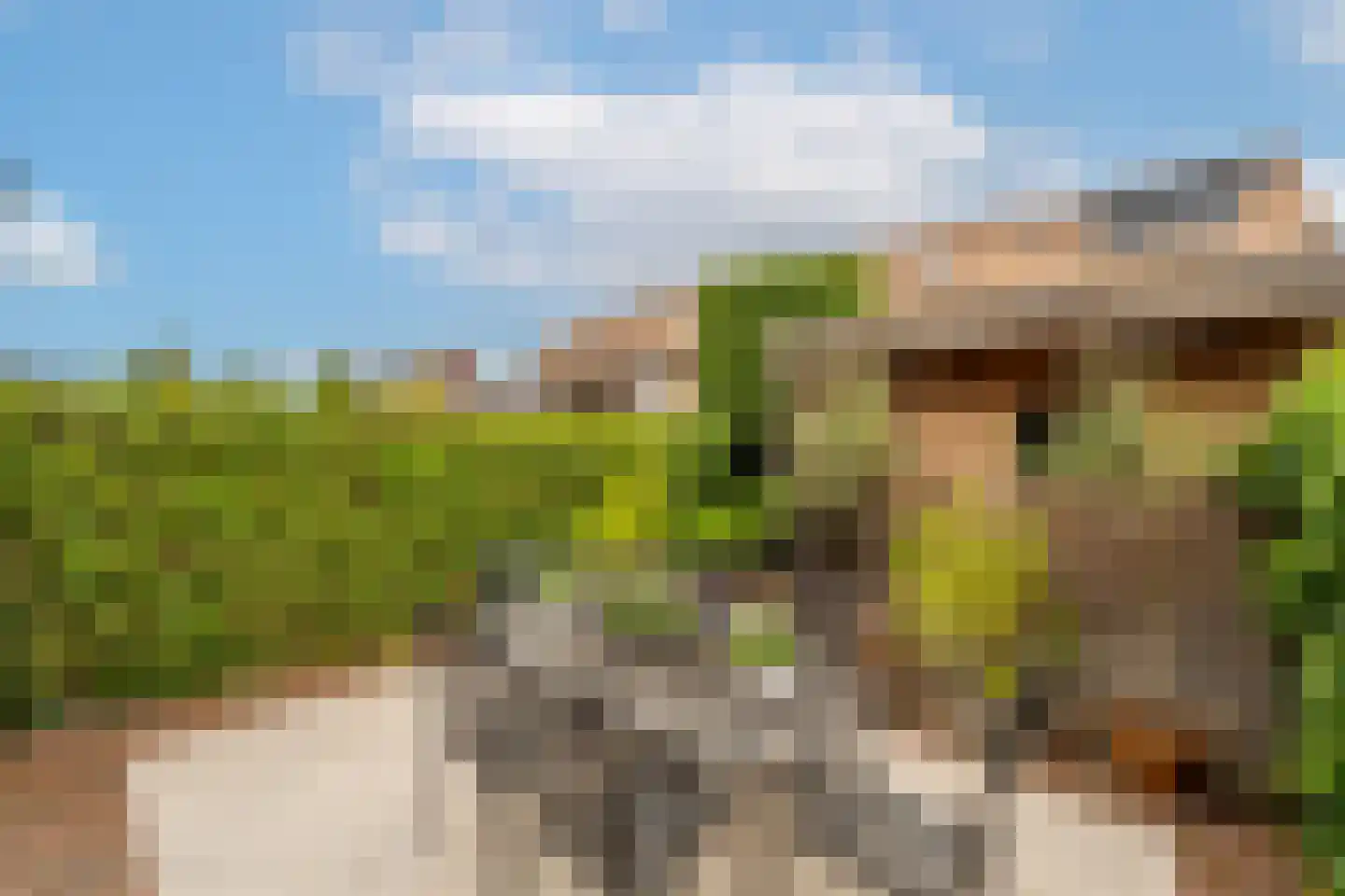 Opper Van Treurenstraat 7 Heinenoord thumbnail 37