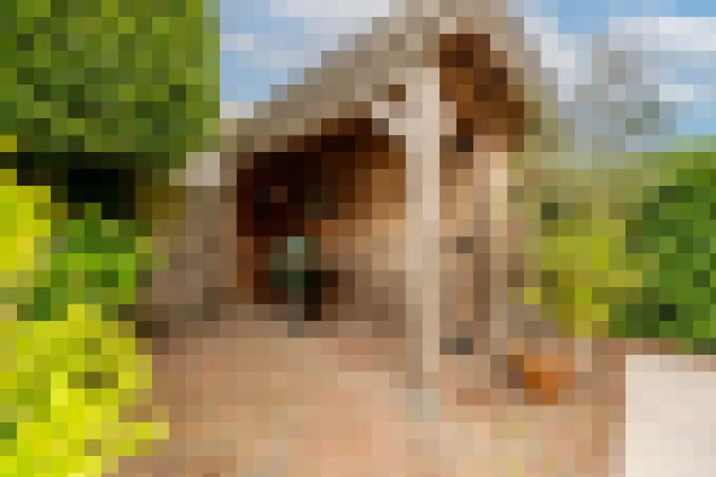 Opper Van Treurenstraat 7 Heinenoord thumbnail 38
