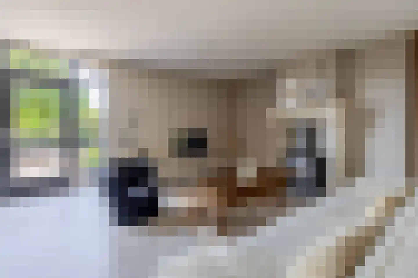 Opperdonkseweg 8 b Lottum thumbnail 13