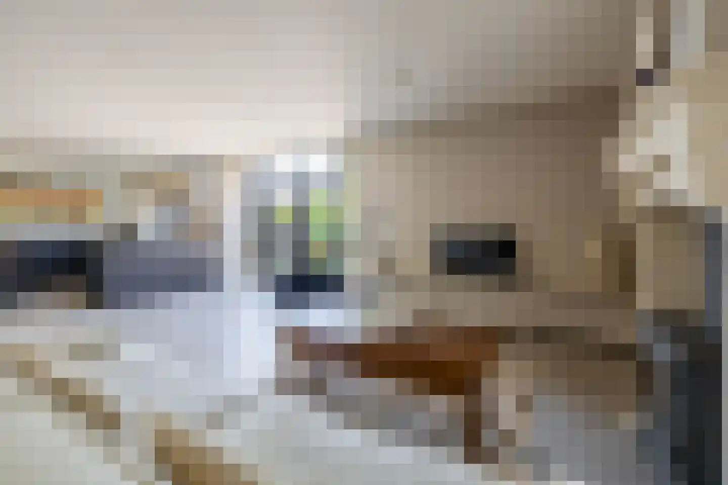 Opperdonkseweg 8 b Lottum thumbnail 14