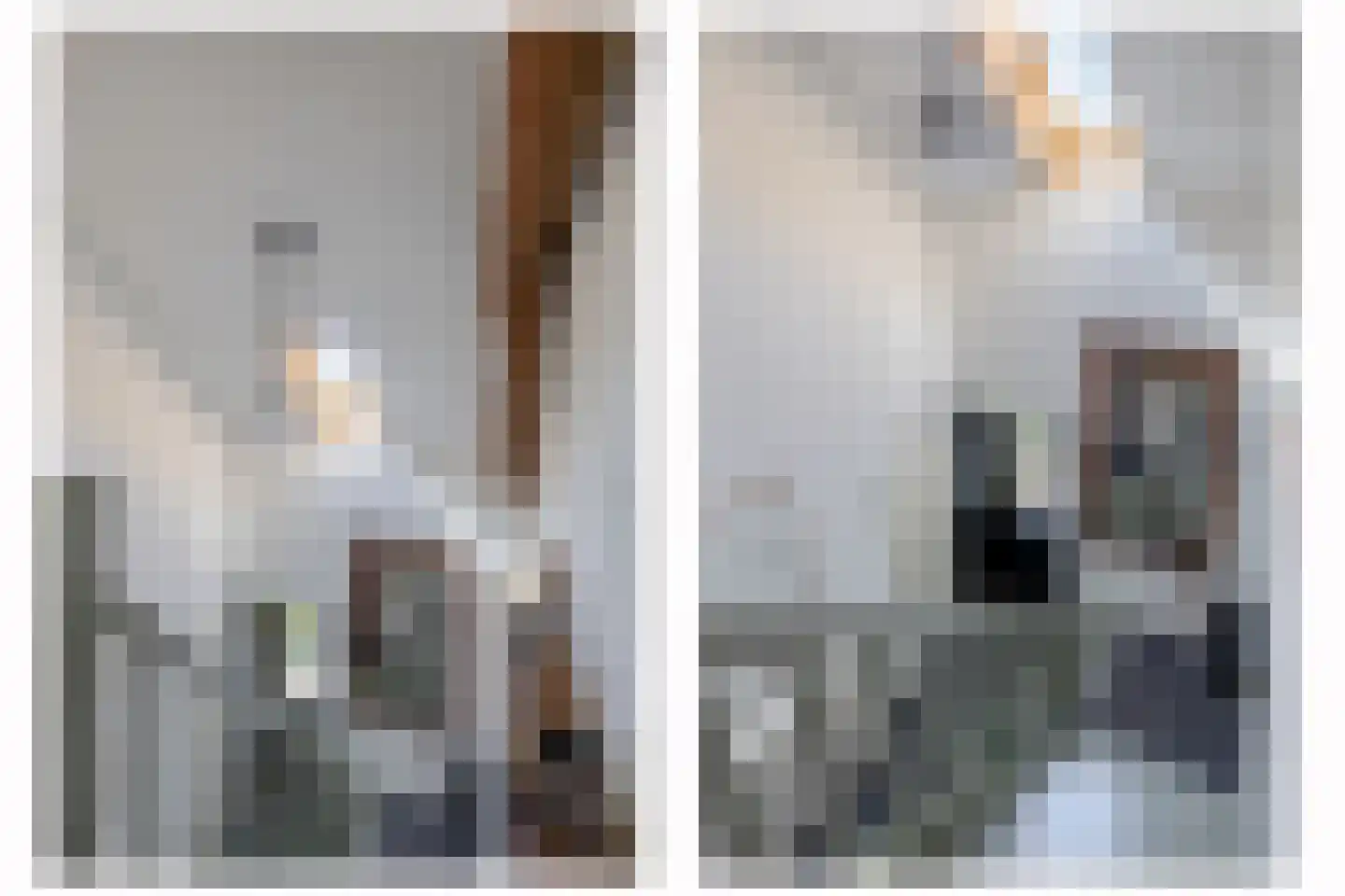Opperdonkseweg 8 b Lottum thumbnail 30