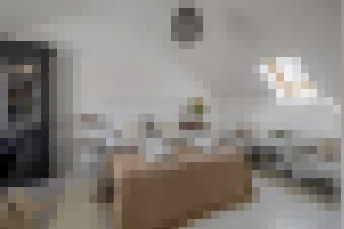 Opperdonkseweg 8 b Lottum thumbnail 31