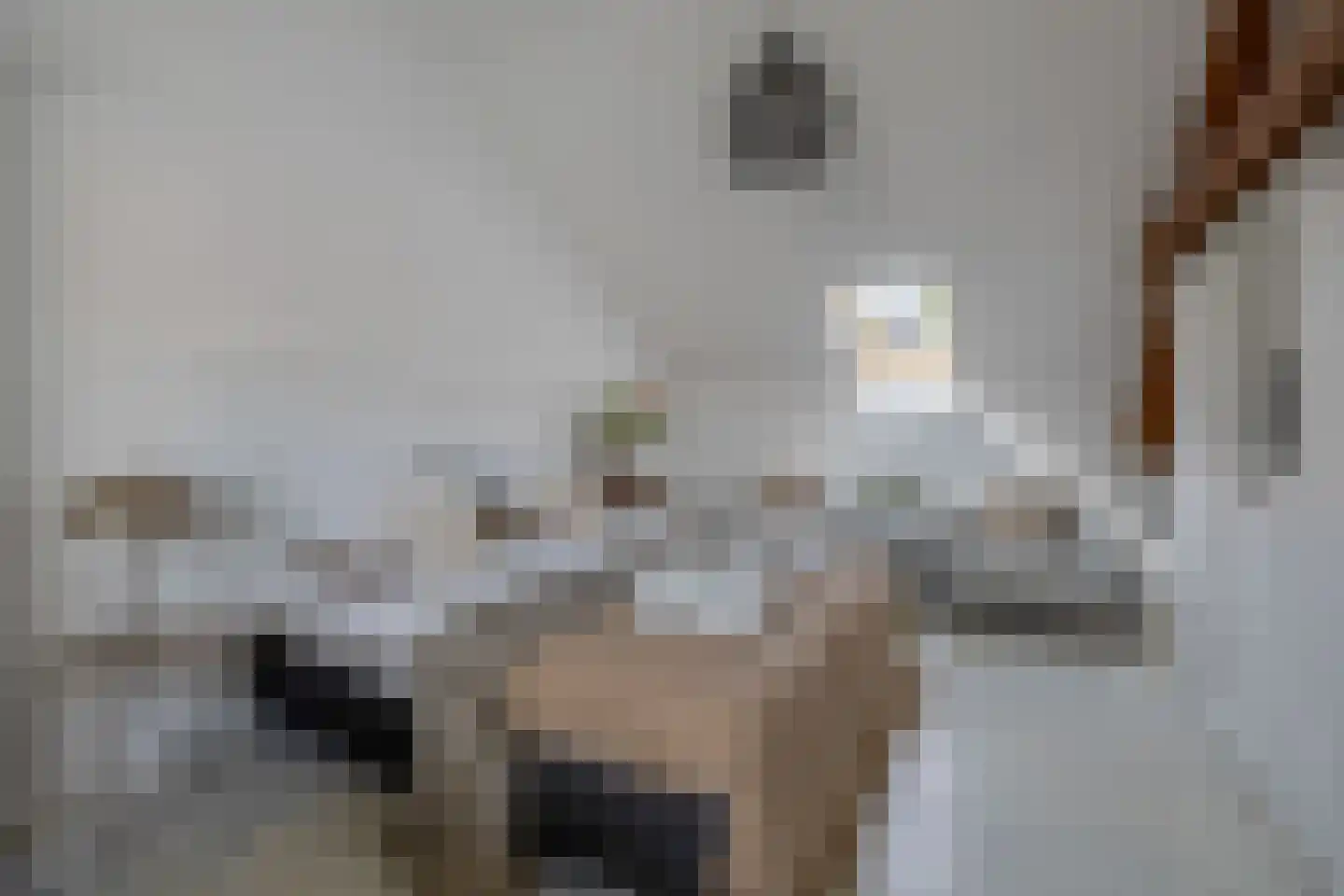 Opperdonkseweg 8 b Lottum thumbnail 32