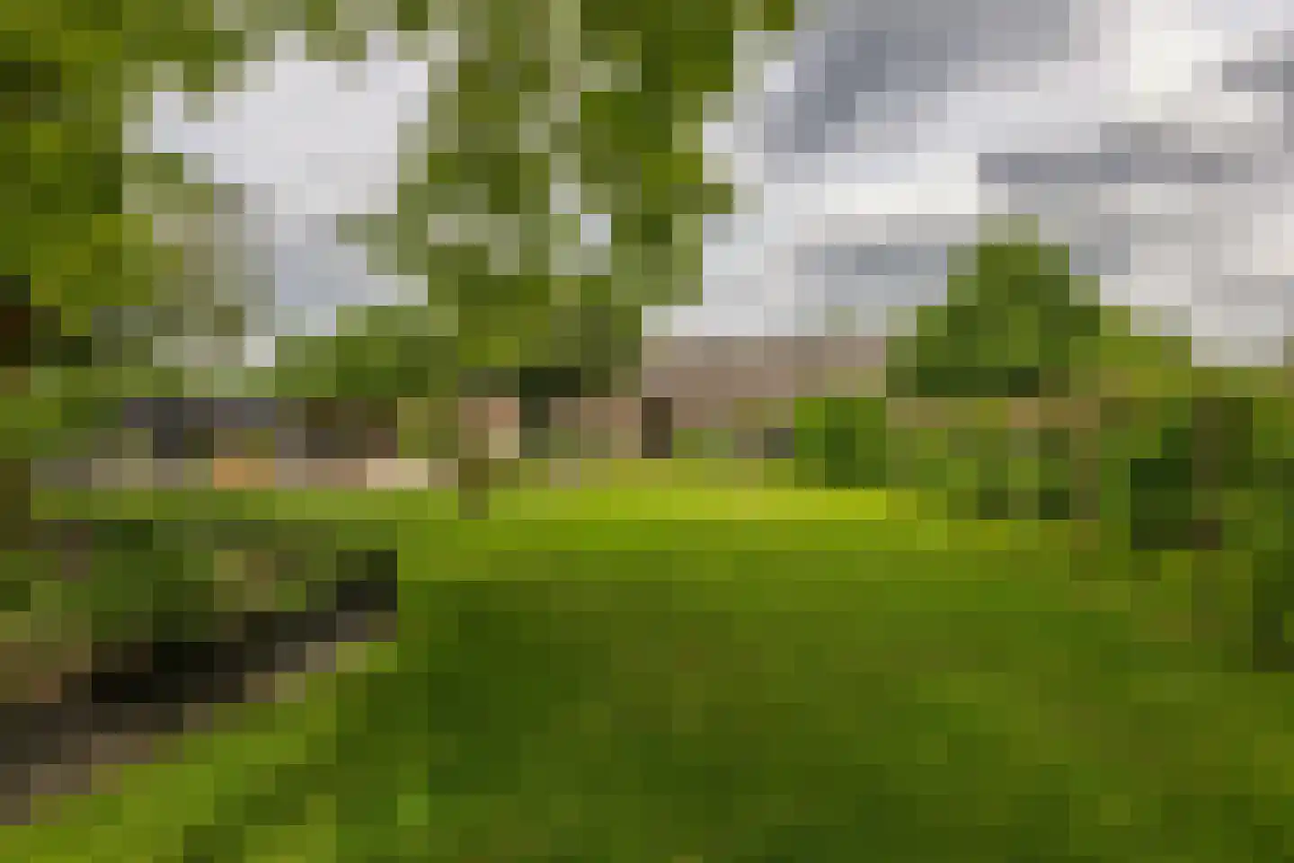 Opperdonkseweg 8 b Lottum thumbnail 4